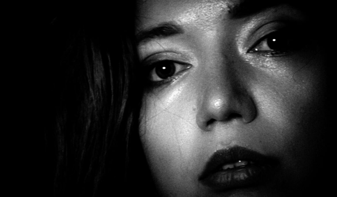 Noir, uno sguardo che non chiede